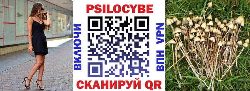 Галлюциногенные грибы Psilocybe  Котово 